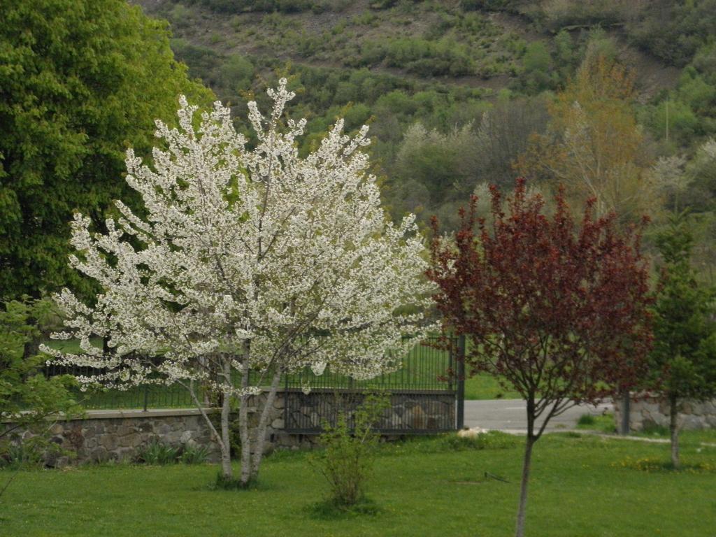 Hotel La Mora Villaseca de Laciana Eksteriør billede